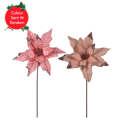 Pale Pink Velour Poinsettia 
