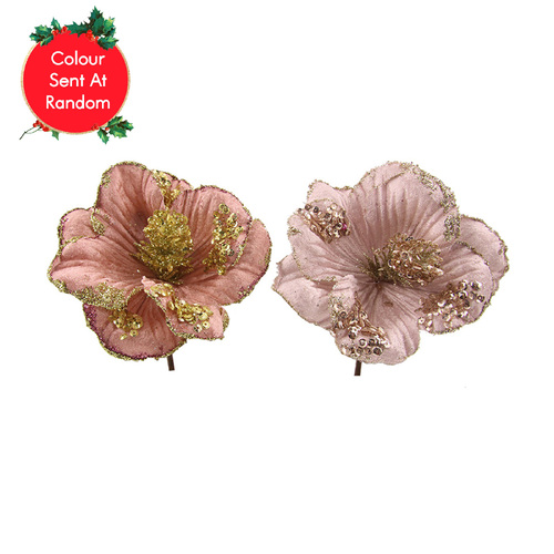 Mini Magnolia Dusty Pink Pale Pink 