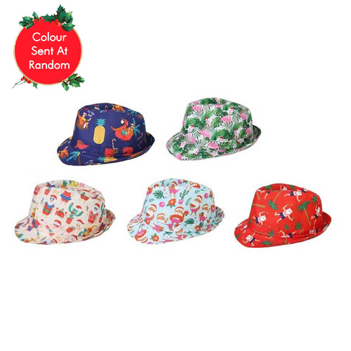 Trilby Hat Summer Christmas