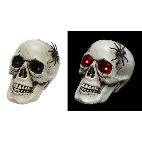Skull With Moving Spider Battery Operated 22cm