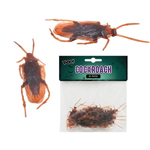 Cockroach 10 Pack