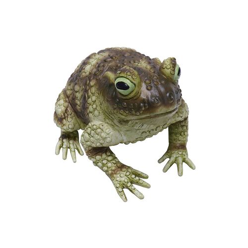 Jumbo Toad 25cm
