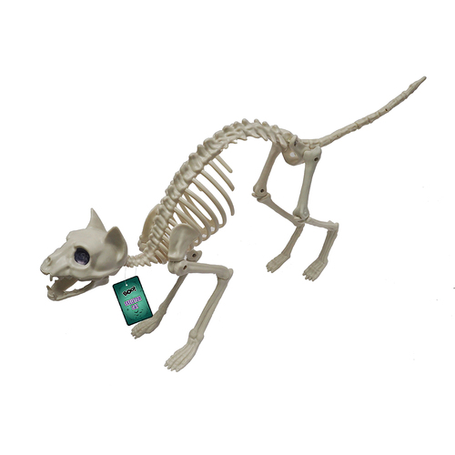 Skeleton Cat 58cm