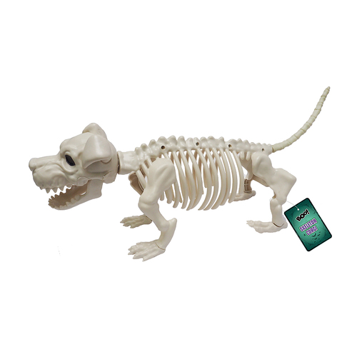 Skeleton Corgi Dog 52cm