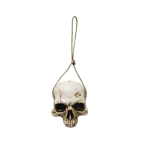 Hanging Half Skull 34cm