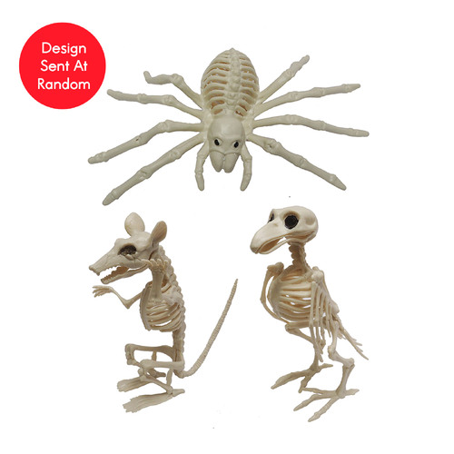 Skeleton Animal 20cm