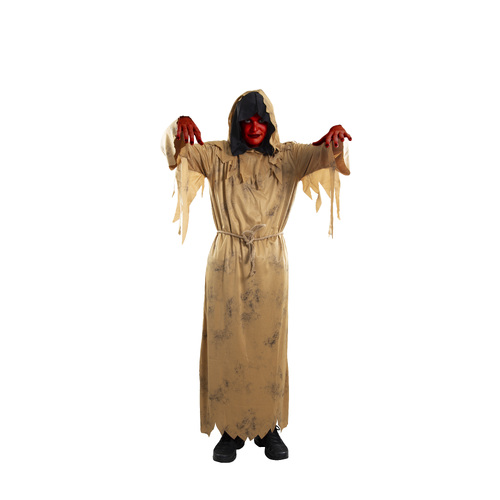 Scarecrow Costume Kit