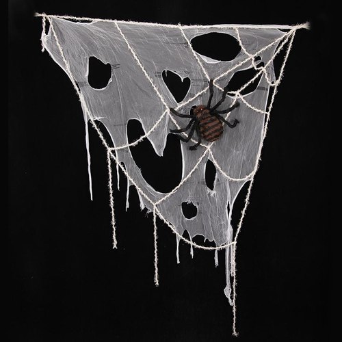 Window Spiderweb With Spider 2m