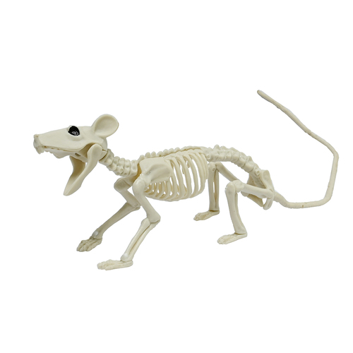 Skeleton Big Rat 23cm