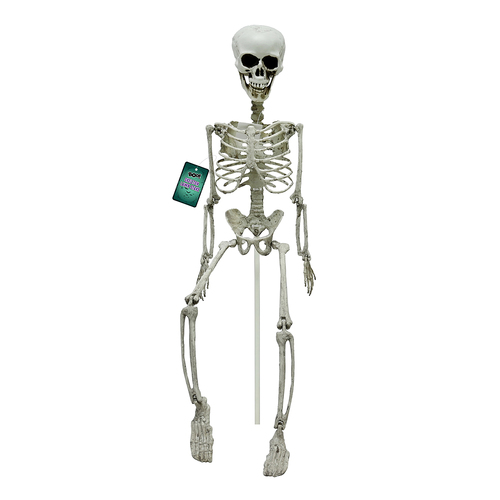 Skeleton Lawn Stake 74cm