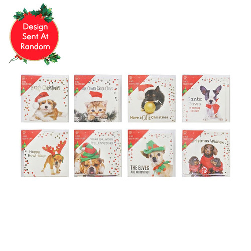 Chrismtas Cards Pet Foiled Sqaure 10pc 