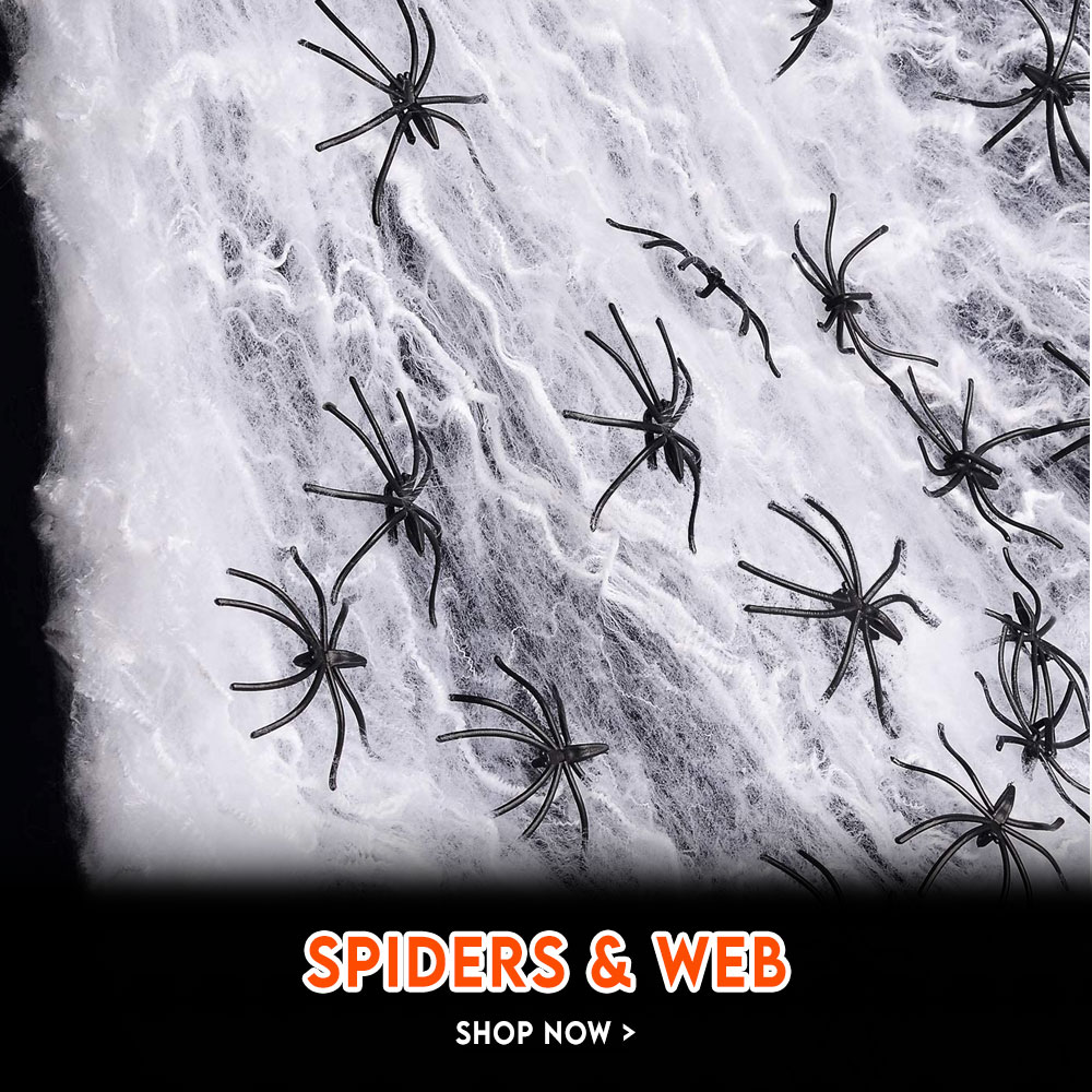 Spiders & Web image